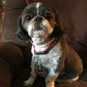 Meet your Posher, Tracy